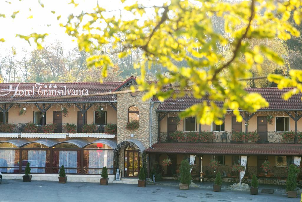 Hotel Transilvania Σιγκισοάρα Εξωτερικό φωτογραφία