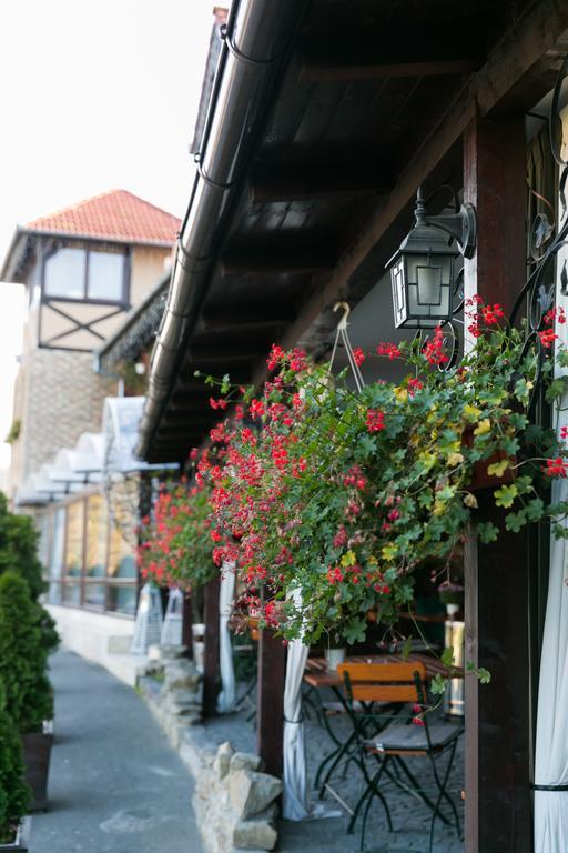 Hotel Transilvania Σιγκισοάρα Εξωτερικό φωτογραφία