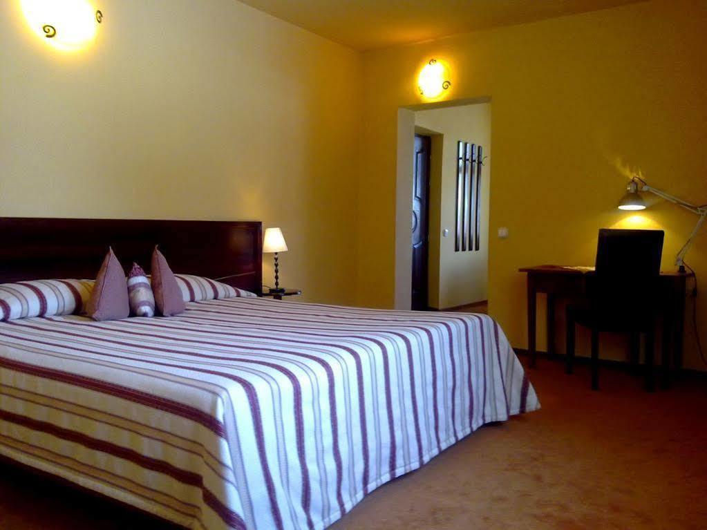 Hotel Transilvania Σιγκισοάρα Εξωτερικό φωτογραφία